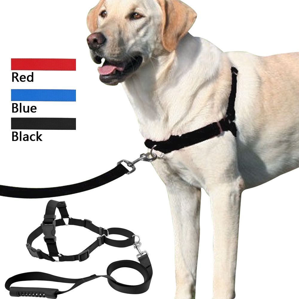 Front on sale attached harness