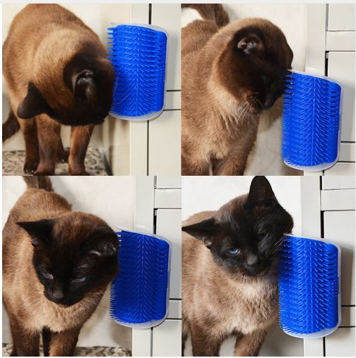 Cat Self Grooming Tool Hair Removal Brush Cat Massage Device with catnip