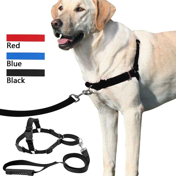 No-Pull Nylon Dog Harness With Leash Training  Front-Attachment Harness Stop Pulling On Lead Small Medium Large