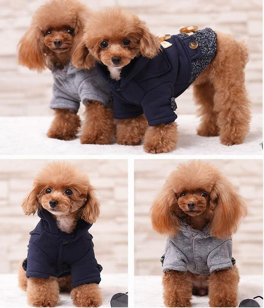 Various Luxury Winter Dog Coat Warm Princess Pet Dog Dress Coat Pet Overalls Winter Dog Clothes Clothing for Small Dog Pet