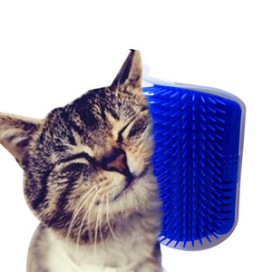 Cat Self Grooming Tool Hair Removal Brush Cat Massage Device with catnip