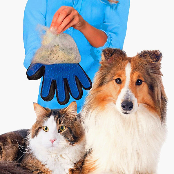 Dog Or Cat Hair Brush Glove For Cleaning Or Massage