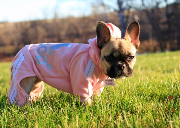Scheppend Adidog Pet Clothes for Dog Cat Puppy Hoodies Coat Winter Sweatshirt Warm Sweater