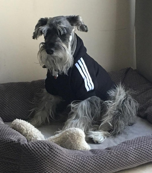Scheppend Adidog Pet Clothes for Dog Cat Puppy Hoodies Coat Winter Sweatshirt Warm Sweater